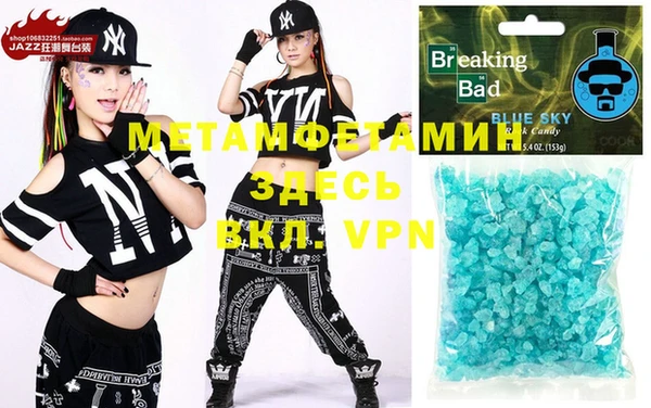 индика Няндома