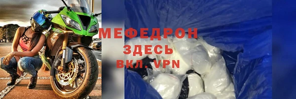индика Няндома