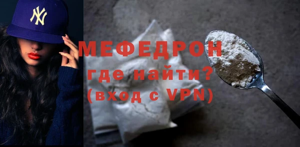 индика Няндома