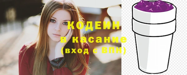 индика Няндома