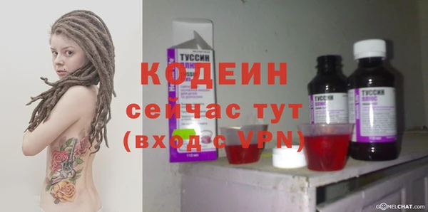 индика Няндома