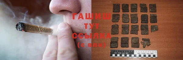 индика Няндома