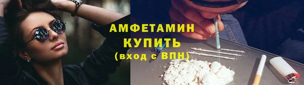 индика Няндома