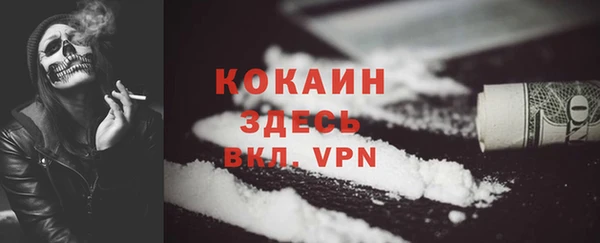 индика Няндома