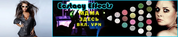 индика Няндома