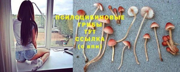 MDMA Зеленокумск