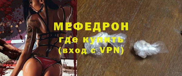 индика Няндома
