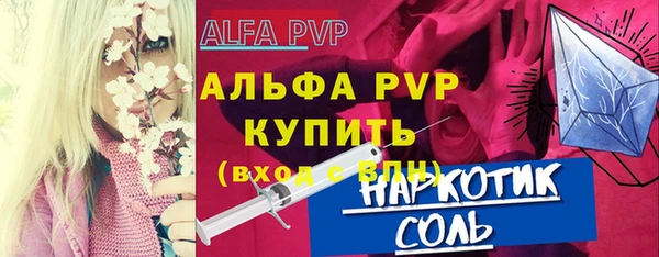 индика Няндома