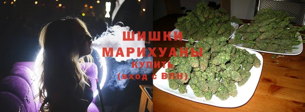 индика Няндома