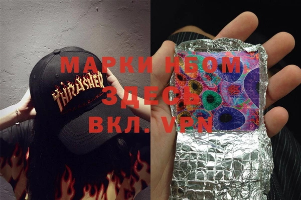 индика Няндома