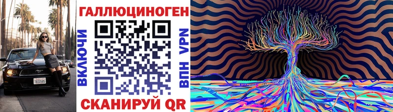 Псилоцибиновые грибы Psilocybe  продажа наркотиков  Амурск 