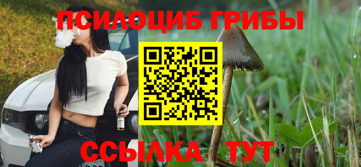 Галлюциногенные грибы ЛСД  Амурск 