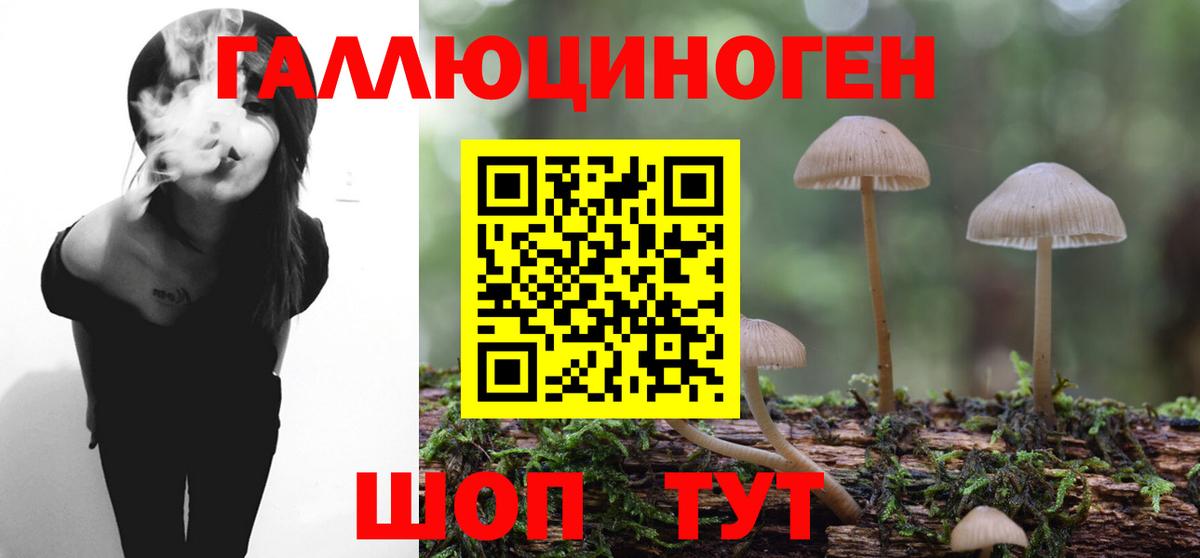 Галлюциногенные грибы Magic Shrooms Амурск
